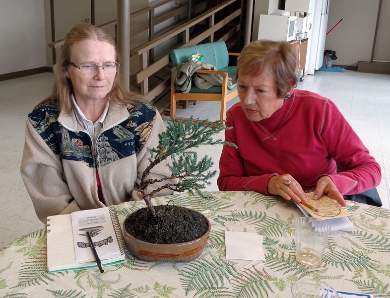 Bonsai_winner_Sharol_T._and_Jillian_K._admire_results..jpg