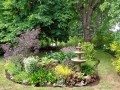 3rd_-_front_yard