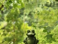 3rd_-_swinging_frog