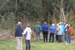 2012 Workshop:  Pruning