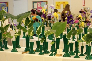 2016 Spring Show Cut-Flower Classes
