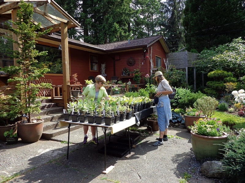 6th_-_last_chance_to_buy_plants