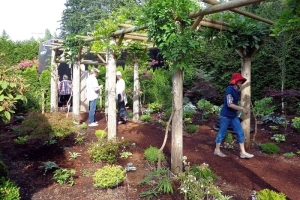 2015 Bus Tour Stone Tree Cottage, Courtenay