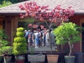 6th_-_gardeners_reflected_in_large_picture_window