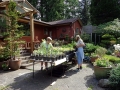 6th_-_last_chance_to_buy_plants