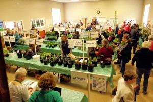 2017 Spring  Plant Sale