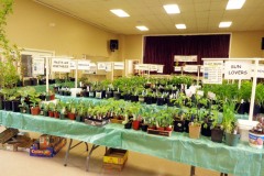 2017-04-22-Plant-Sale-view-from-back