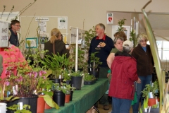 2018-04-21-Plant-Sale-13-almost-opening-time