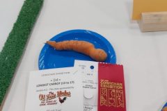 20210918-Junior-Long-carrot-2nd-w-Old-Farm-Market-prize-scaled