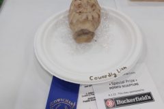 20210918-Junior-potato-sculpture-1st-w-Buckerfields-prize-scaled