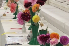 2022-09-18-CowEx-from-Willie-table-of-dahlias