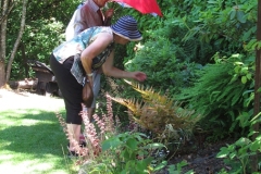 2022-06-26-OG-Sally-Smith-checking-out-ferns