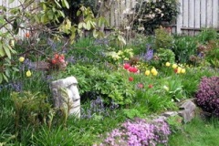 2022-04-20-OG-Sherry-Deptuch-garden-corner