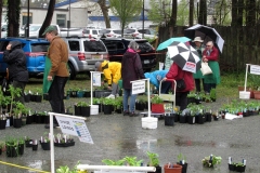 2022-04-30-Plant-Sale-Saturday-10-am-checking-out-plants