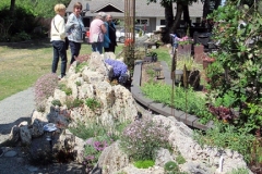 2023-06-21-Bus-Tour-Janice-Currie-5-rock-alpine-plants