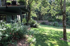 2023-06-27-Open-Garden-Allison-Barber-3-Gary-Oak-back-yard
