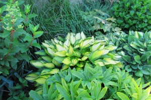 2023 OG Barb Tymchuk