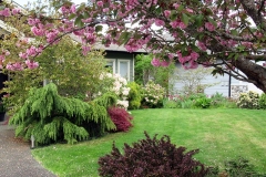 2023-05-07-Open-Garden-Carol-Stiles-front-garden