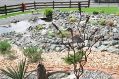 2023-05-07-Open-Garden-Darlene-Veitch-lots-of-rocks