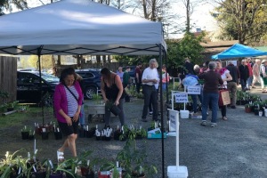 2023 Spring Plant Sale