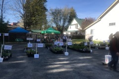 2023-04-29-Plant-Sale-plants-before-opening