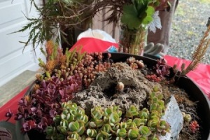 2023 Workshop: Hypertufa