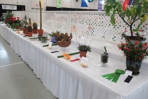 2025 Cowichan Exhibition