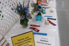 2025-09-14-Willie-Harvie-1.-Flowers-crop