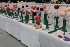 2025-09-14-Willie-Harvie-2.-Dahlia-classes-crop