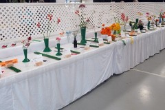 2025-09-14-Willie-Harvie-3.-Flowers-crop