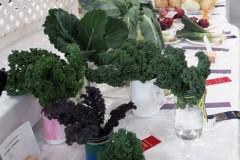 2025-09-14-Willie-Harvie-6.-Veggies-crop