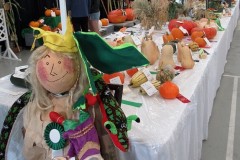 2025-09-14-Willie-Harvie-7.-Field-Produce-crop