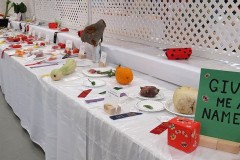 2025-09-14-Willie-Harvie-9.-Give-me-a-name-crop