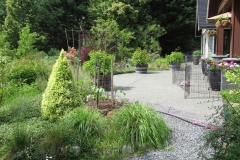 Willie-Harvie-2025-05-31-Robert-Liston-5.-Lush-backyard