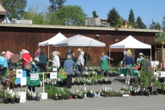 1_Willie-Harvie-2025-04-26-Plant-Sale-4.-Green-aprons-ID-garden-club-members