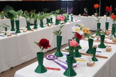 Willie-Harvie-2025-05-24-Flower-show-1.-Peonies-Hostas