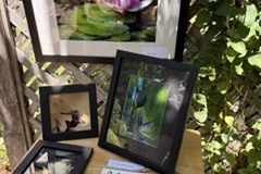 1_1-7-Darlene-Veitch-OG-2026-06-20-Syvlia-Scotts-artist-display