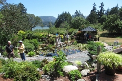 2_1-1-Willie-Harvie-OG-2026-06-20-Sylvia-Scott-pond