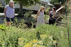 2_2-2-Darlene-Veitch-OG-2026-06-20-Judith-Applebys-herb-garden