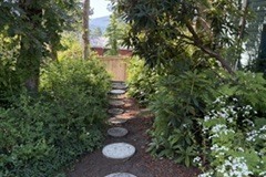 2_4-4-Darlene-Veitch-OG-2026-06-20-Allison-Barbers-garden-path