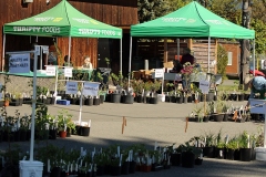 Willie-Harvie-2026-04-25-2-Plant-Sale-cashiers-are-ready