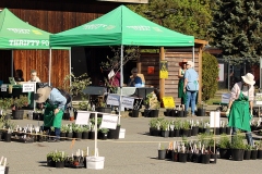 Willie-Harvie-2026-04-25-3-Checking-tags-at-Plant-Sale