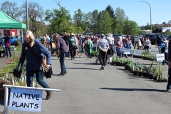 Willie-Harvie-2026-04-25-6-Plant-Sale-gate-is-open