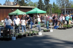 Willie-Harvie-2026-04-25-7-Eager-buyers-at-Plant-Sale