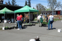 Willie-Harvie-2026-04-25-8-Not-much-left-for-Plant-Sale-Clean-up-crew