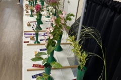 Nancy-Ross-2026-06-07-Flower-Show-1