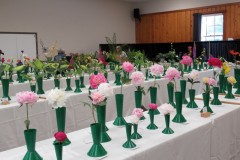 Willie-Harvie-2026-06-07-Flower-Show-Peony-Class
