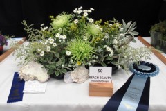 Willie-Harvie-2026-06-07-Flower-Show-Winner-Dec.-Div.-Beach-Beauty