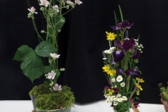 Willie-Harvie-2026-06-07-FlowerShow-Bee-Friendly-Design