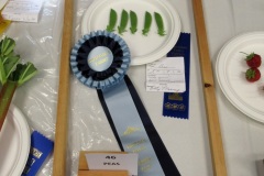 Willie-Harvie-2026-06-07-FlowerShow-Best-judged-Vegetable-Berry-division